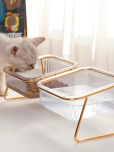 Pet Double Bowl Transparent High Foot Cat Bowl Drink water Cat Food With Golden Stand Raised Water Feeder Dog Bowl Supplies