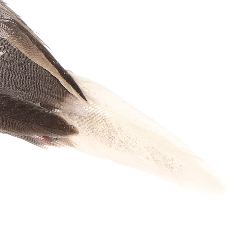 1pc Birds Bird Decor Artificial Fake Feathered Ornament Simulation Ornaments Props Decoration Decorations Crafts Decorative - Image 10