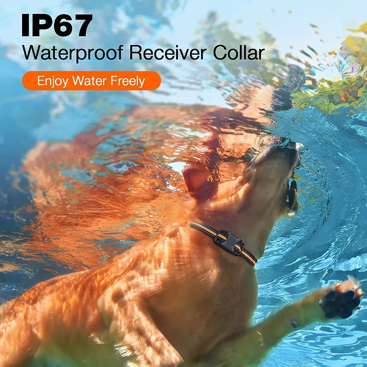 1000M Remote Pet Dog Training Collar IP67 Waterproof Shock Vibration Rechargeable Collar Pet Trainer Anti Bark Stop For 2 Dogs - Image 5