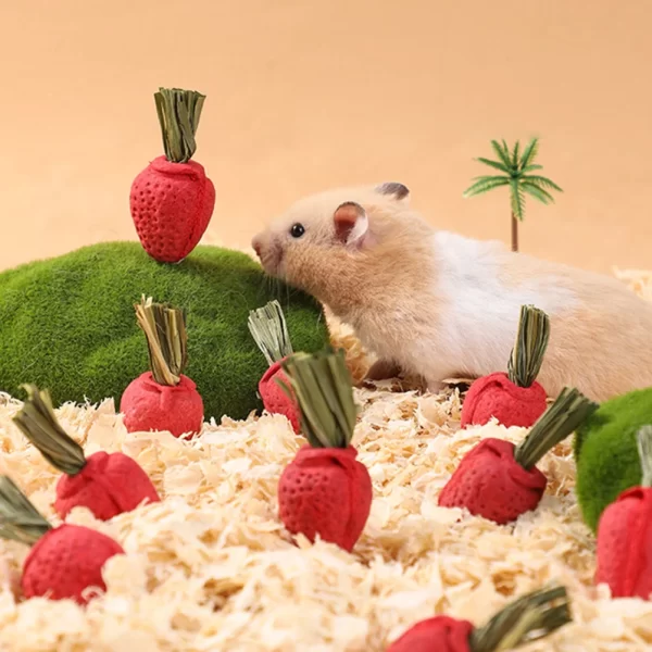 3 Pcs Small Animal Toys Strawberry Shaped Chew Toys Hamster Chewing Plaything Rabbit Accessories Pet Products Pet Supplies - Image 7