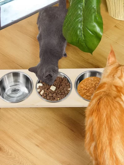Heightened cat food bowl, water bowl, iron frame, three-slot dog bowl, 3 stainless steel bowls suitable for cats and small dogs