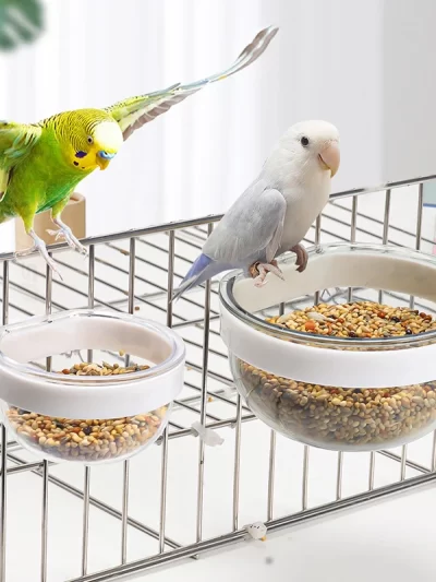 Bird Feeding Bowl Detachable Transparent Bowl Plastic Food Cup For Cage Convenient Hanging Seed Water Feeder for Parrots