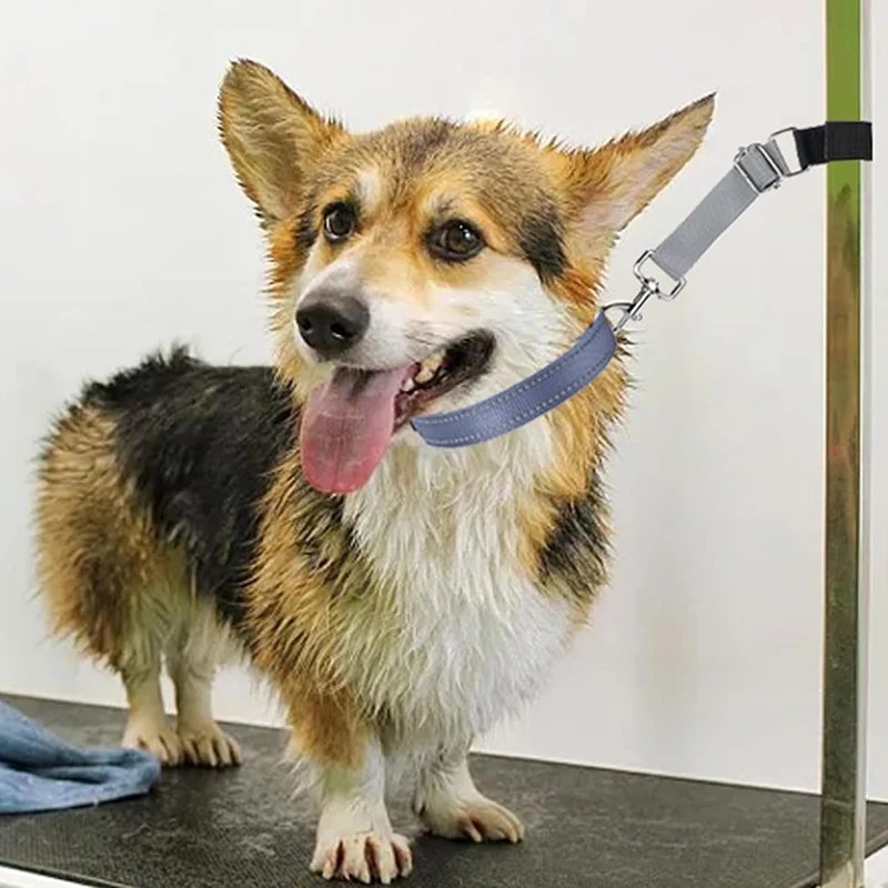 Dog Collar Pet Grooming Loops Safety Rope Leash Leads Dog Accessories Nylon Restraint Noose Solid Color Pet Supplies Adjustable - Image 2