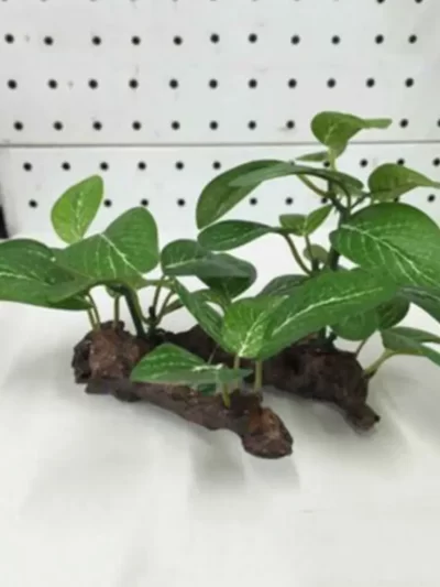 Fish Tank Accessories Artificial Green Plants Green Fish Tank Decorations Aquarium Decor Plastic Plants with Faux Wood Base