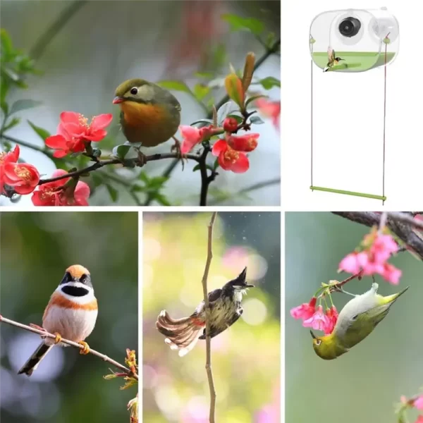 HOES-Bird Feeder And Camera With Strong Suction Cup Weatherproof Large-Capacity Food Organizer Birdwatching, Gift For Bird Lover