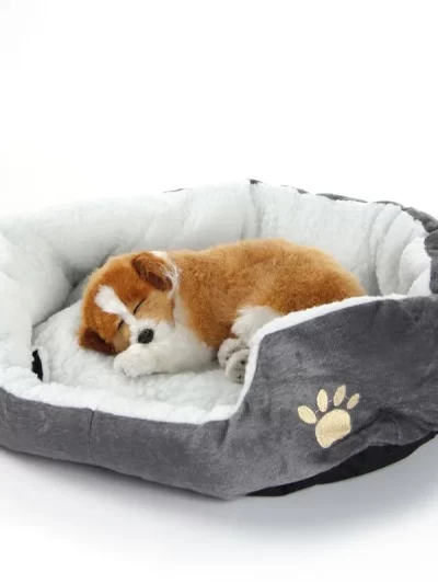 Bed for Cats Pet Products Cushions Kitten Goods Accessories Dog All Houses Supplies Things Accessory Habitats Basket House Beds