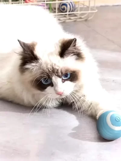 Smart Cat Rolling Ball Electronic Interactive Toy Rechargeable Self-moving Intelligent Awakening Long-lasting Companion Pet Toys