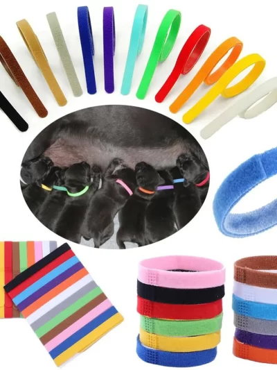 KIYUE 12 Pcs Puppy Whelping Collars Newborn Pet Collars Soft Adjustable ID Bands Puppy ID Collars For Newborn Pet Dog Cat