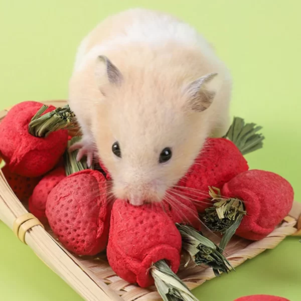 3 Pcs Small Animal Toys Strawberry Shaped Chew Toys Hamster Chewing Plaything Rabbit Accessories Pet Products Pet Supplies - Image 2