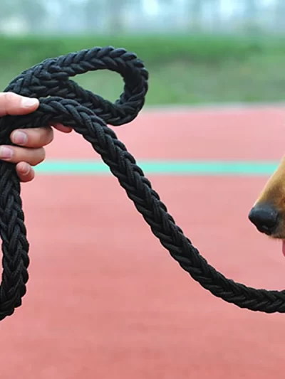 Large Dog Leash Traction Rope with Heavy Duty Buckle Hand-knitted Strong Durable Nylon Braided Leashes for Medium Big Dogs Bully