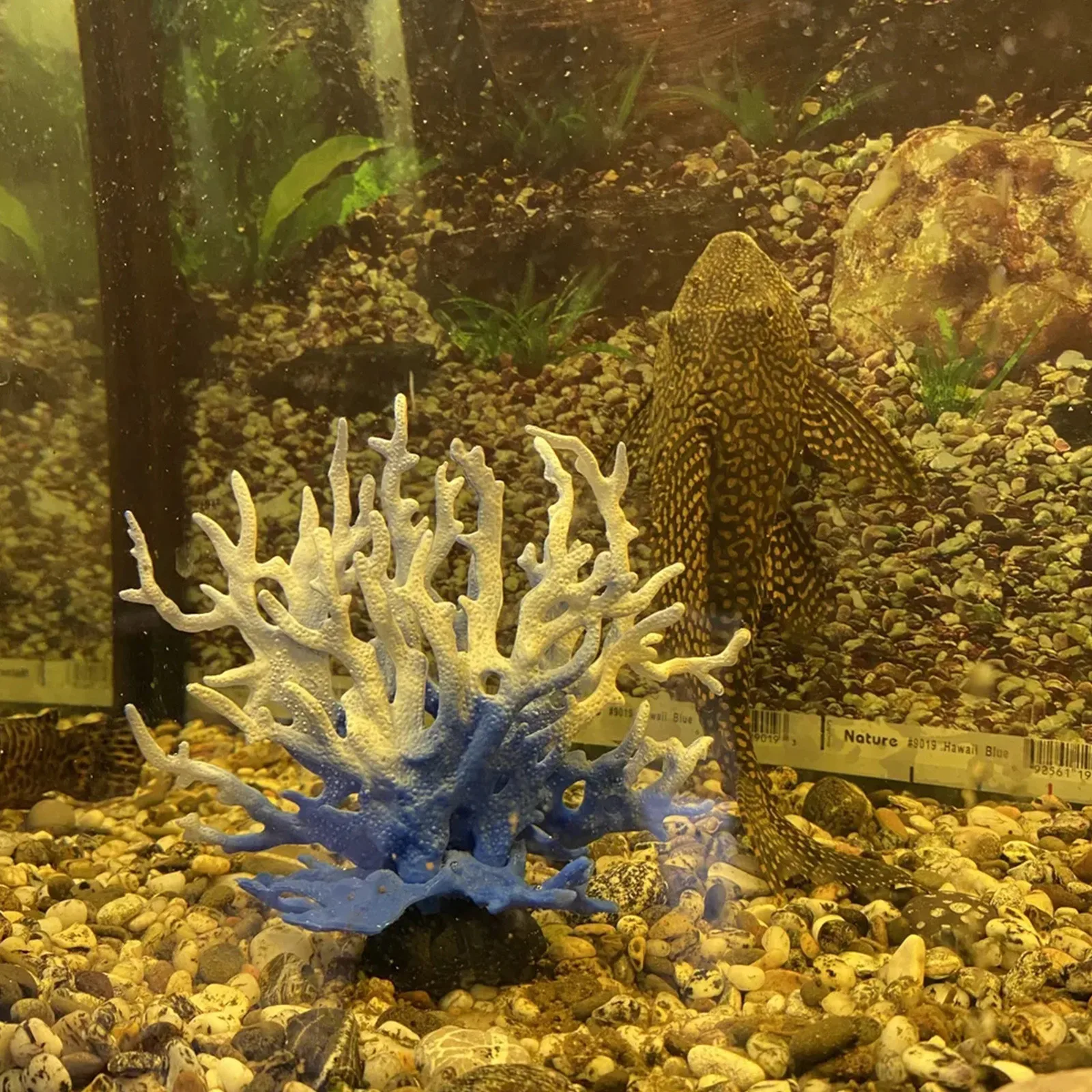 Fish Tank Coral Ornament Simulation Coral Tree Small Sea Water Tank landscaping Fish And Shrimp Evacuation House Decoration - Image 2