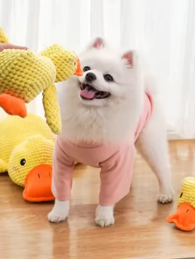 Cat Yellow Duck Dog Toy Plush For Small Dogs Golden Retriever Corgi Pet Toys Pet Companion Sleeping for Dogs Molar Chew Supplies