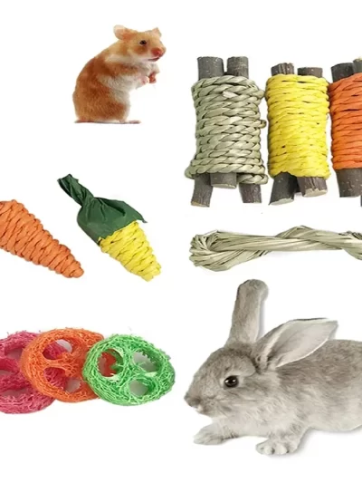 9PCS Small pet toy set, pet rabbit, hamster, fun toy, grinding supplies color random