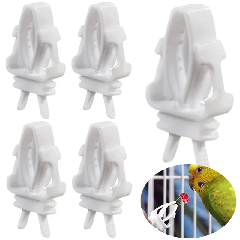 3/6pcs Birds Food Holder Pet Parrot Feeding Fruit Vegtable Clip Cuttlefish Bone Feeder Device Pin Clamp Bird Cage Accessories - Image 13