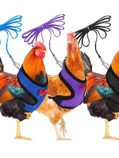 Pet Adjustable Harness Leash for Chicken Puppy Comfortable Breathable Pet Vest for Small Dogs Duck Goose Training Accessories