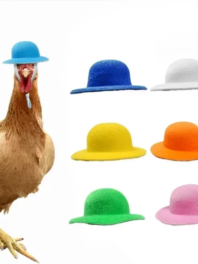 New Poultry Pet Decoration Chicken Hat Suitable For Small Pets' Chicken Accessories Hen's Top Hat Suitable For Various Poultry