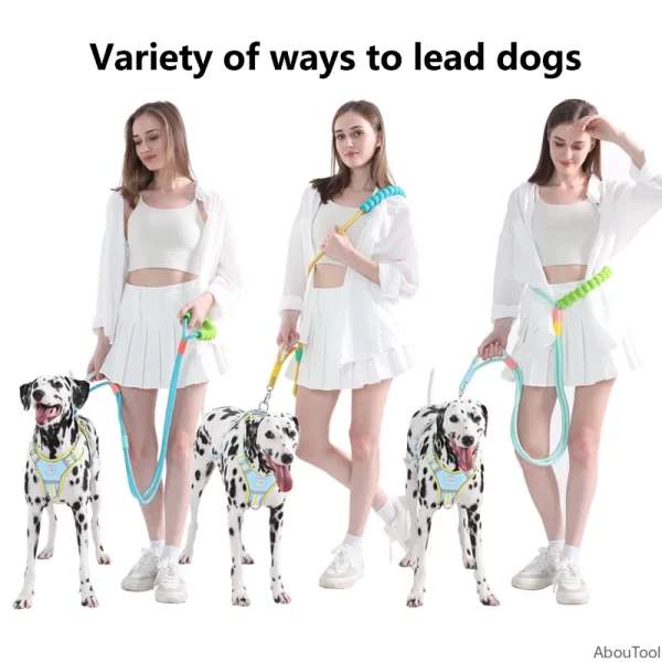 Versatile Pet Traction Leashes with Foam Handle Hand Free Dog Leash for Pet Walking Running Adjustable Sizes Pet Supplies - Image 2