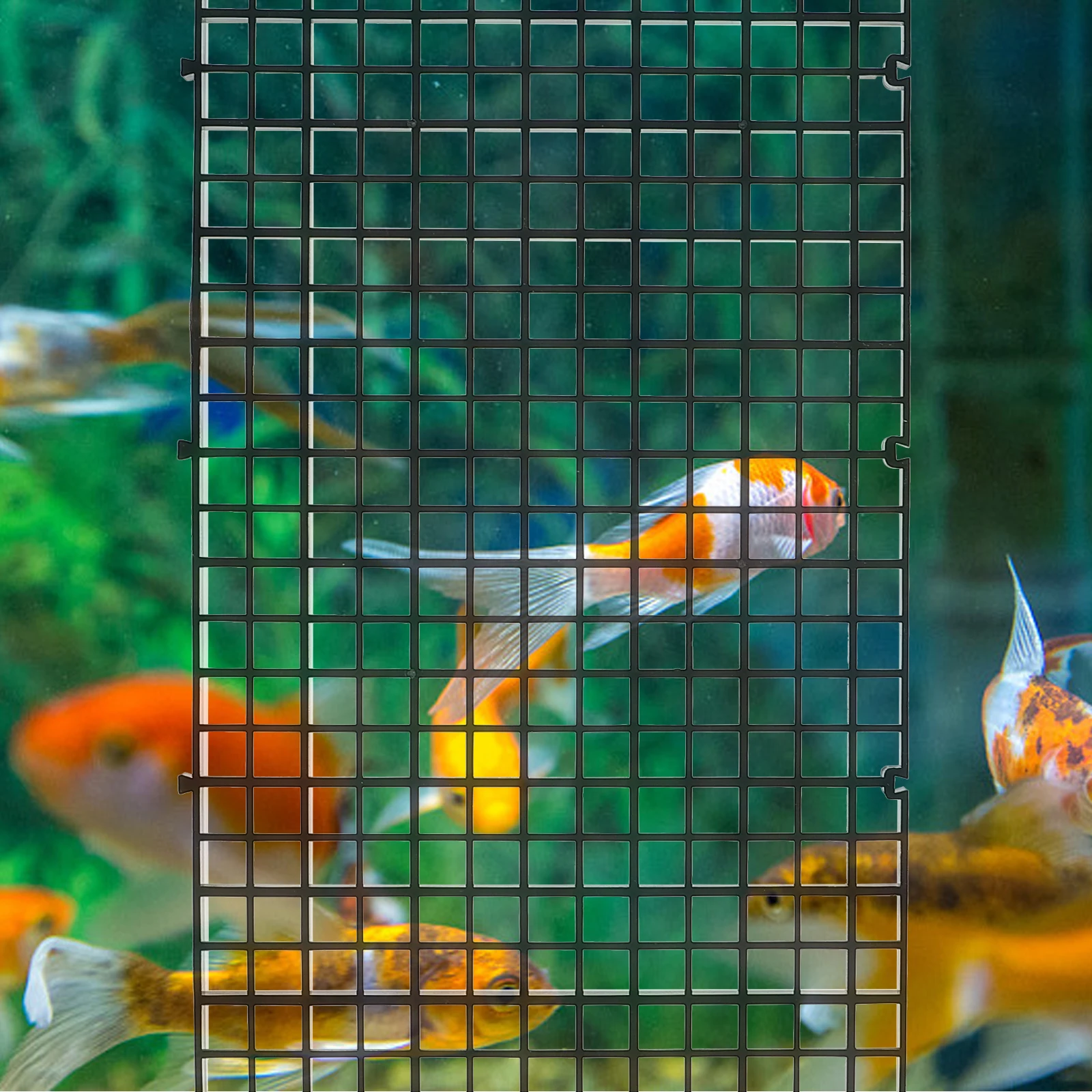 Fish Tank Isolation Board Transparent Partition Divide Dividers Supplies Aquarium Tools Accessories - Image 2