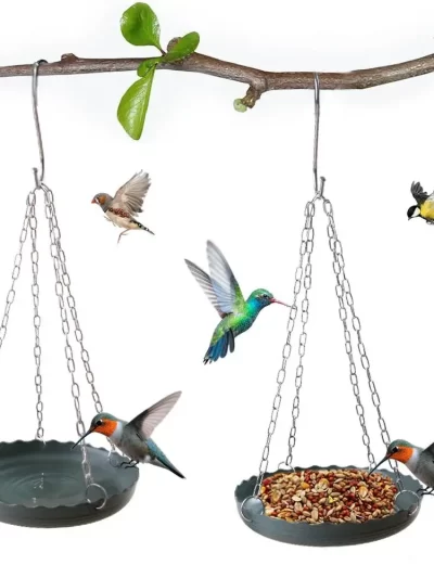 Multifunctional Adjustable Bird Feeding Tray Plastic Bird Water Bowl Outside Bird Tray with Chain Bird Food Dispenser Tree