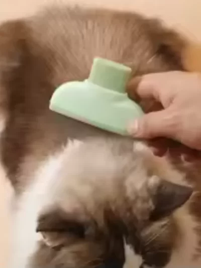 Pet Cat Comb Cat and Dog Hair Removal Brush Cleaning Hair Cleaner Beauty Cleaning Supplies Cat and Dog Universal Pet Supplies