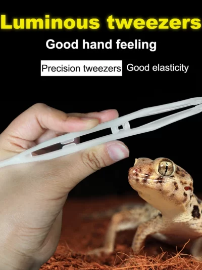 Noctilucent Tweezers Reptile Feeding Tools Reptile Insects Lizard Gecko Turtle Snake Spider Non Rusting Feeding Cleaning Tool