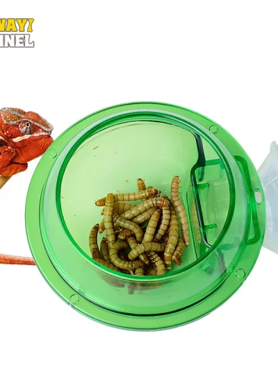 Arboreal Reptile Live Anti-escape Sucker Feeder Chameleon Food Basin Wall Double Layer Plastic Bowls for Small Animals D9210