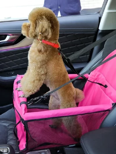 Dog Car Seat,Scratch Proof Durable Pet Booster Car Front Seat Puppy Safety Belt Stable Foldable Travel Pet Car Seat