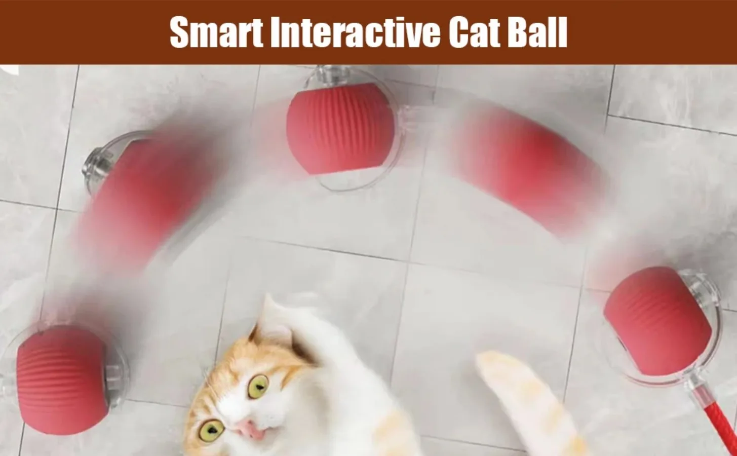 Auto Electric Rolling Ball Interactive Toys for Cats/Kitty Pets, Smart Automatic Teaser, USB Rechargeable - Image 15