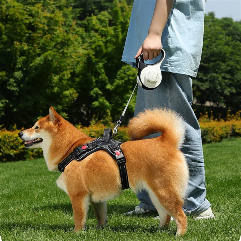 5M/8M Dog Leash with Poop Bag Dispenser Automatic Roulette Tow Rope with Detachable Led Flashlight Pet Puppy Collar Walking Lead - Image 3