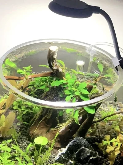 Fish tank USB small clip light mini LED lighting high brightness aquarium water grass light supplementary light transparent clip