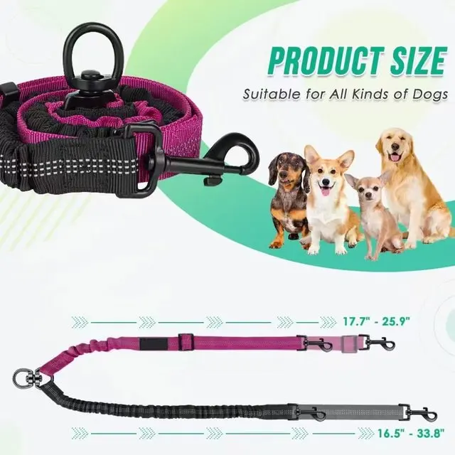 16ft Long Dual Dog Leash Attachment - Double Leashes for Training Small to Large Dogs - Adjustable Strap, Shock Absorbing Bungee - Image 12