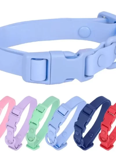 Elastic Webbing Pet Collar Adjustable Quick Release Buckle Waterproof Dog Collar No Pull Pet Identification Safety Buckle Chain