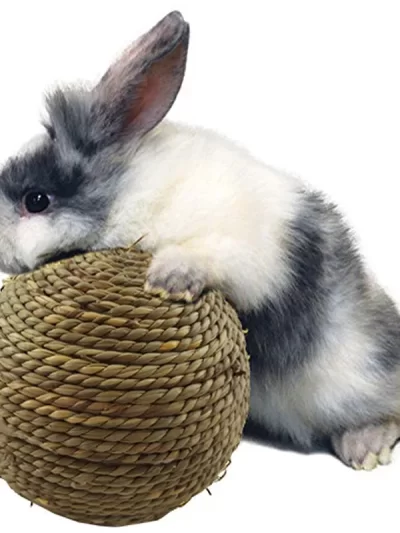 Pet Chew Toy Natural Grass Ball For Rabbit Hamster Guinea Pig For Tooth Cleaning Supplies