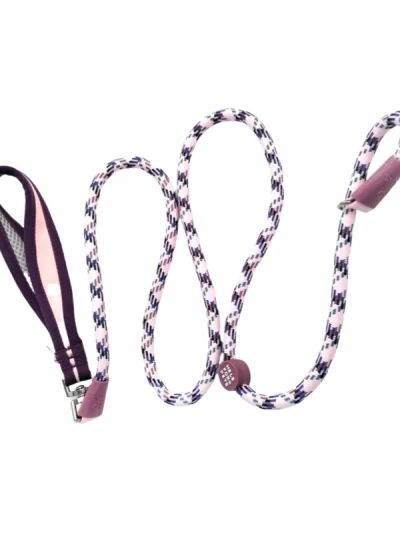 Integrated pet leash P chain 1.5M pet training P rope Small pets going out P chain