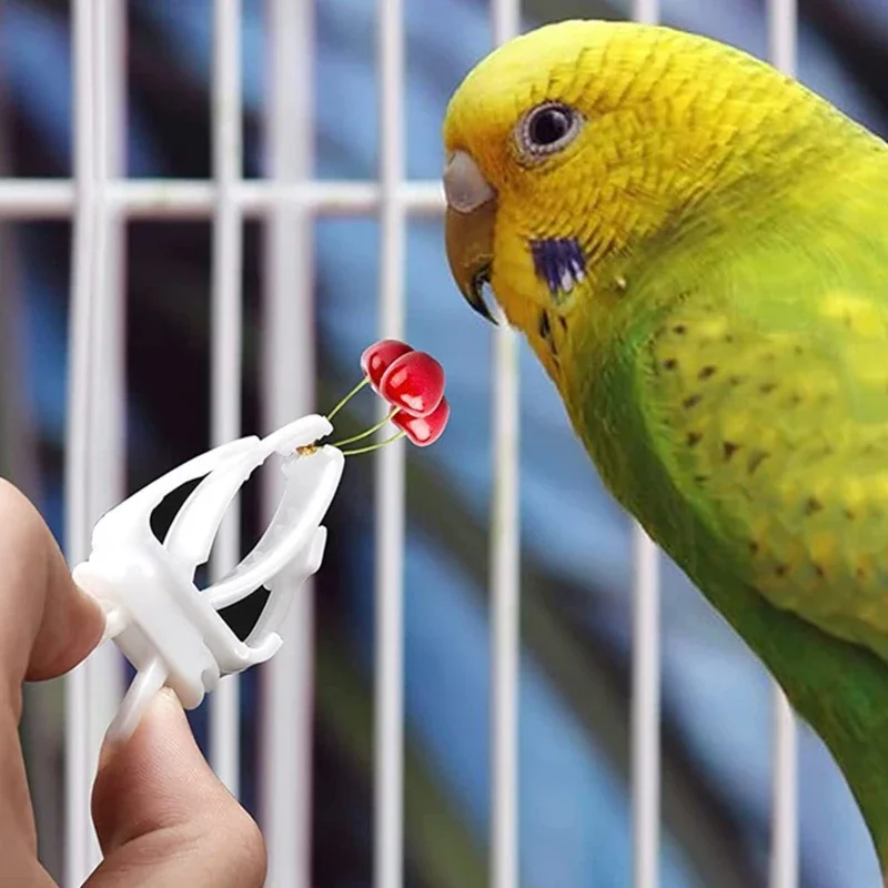 3/6pcs Birds Food Holder Pet Parrot Feeding Fruit Vegtable Clip Cuttlefish Bone Feeder Device Pin Clamp Bird Cage Accessories - Image 10