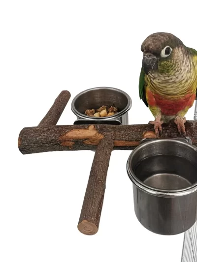 Stainless Steel Birds Parrot Feeder Bowl Round Small Pet Natural Wood Stand Food Water Drinking Feeding Bowl Birds Supplies