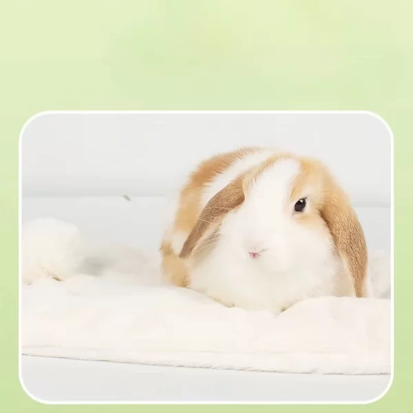 Rabbit Bed Pad-Faux Fur Rectangular Sleeping Mat with Cotton Filling,Warm Winter Pet Supplies for Rabbits, Chinchillas, Hamsters - Image 2