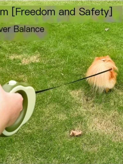 Pet Leash With One Click Locking And Automatic Retractable Traction Rope For Walking Dogs, Portable For Walking Dogs