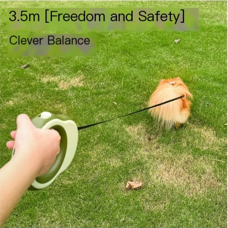 Pet Leash With One Click Locking And Automatic Retractable Traction Rope For Walking Dogs, Portable For Walking Dogs