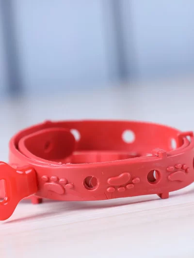 1pc-Adjustable collar for puppies - Comfortable fit - Suitable for small to large dogs