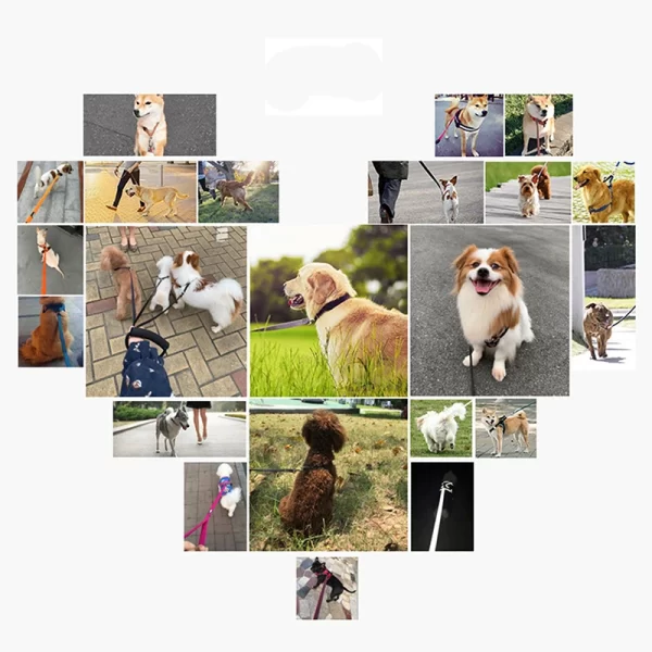 Nylon Dog Training Leashes Walking Pet Leash Long Lanyard Traction Rope for Small Large Dogs Lead Item - Image 13