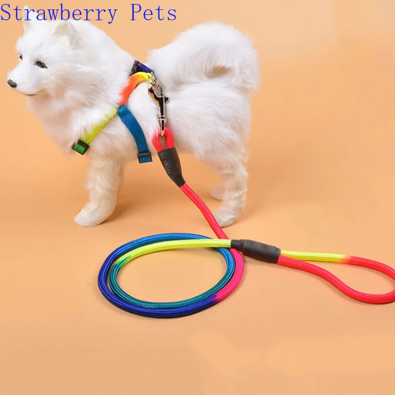 Durable Nylon Rainbow 1.2M Pet Dog Leash Walking Training Leash Cats Dogs Harness Collar Leashes Strap Belt Rope - Image 6