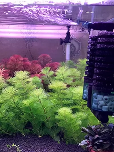 ABJN-USB Aquarium Filter With Electric Water Pump Air Pump Skimmer Biochemical Sponge For Fish Tank Bio Filter