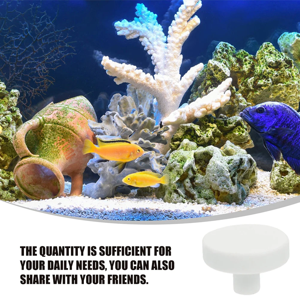 30pcs Coral Plugs Base Rack Fish Tank Holder Support T-shaped Coral Racks Branch Stand Ceramic Accessories Aquarium Supplies - Image 6