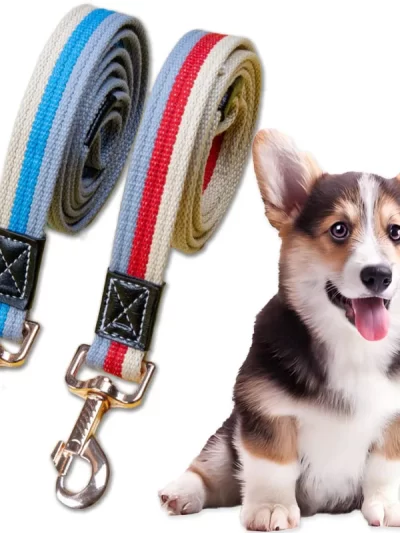 Pet Puppy Long Dog Training Leash Pet Lead Non-Slip Rubber Nylon Training Walking Rope Work Dog Traction Rope for Walking Traini