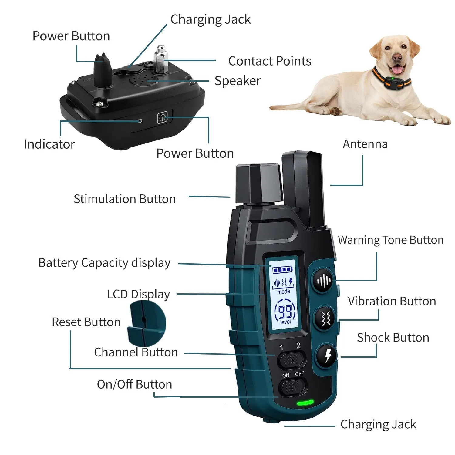 1000M Remote Pet Dog Training Collar IP67 Waterproof Shock Vibration Rechargeable Collar Pet Trainer Anti Bark Stop For 2 Dogs - Image 2