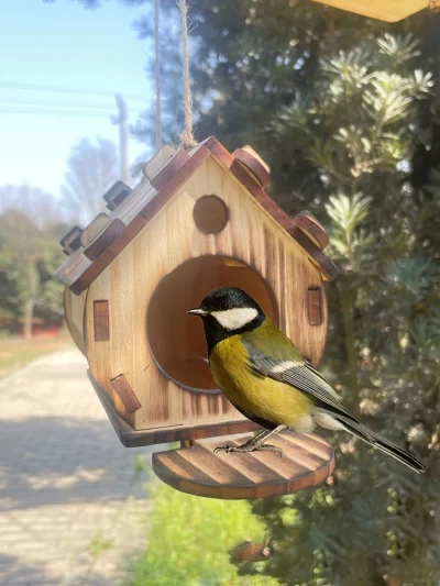 Hanging wooden bird feeders Aviary DIY assembled outdoor garden decorative feeders Birdcage Birdhouse