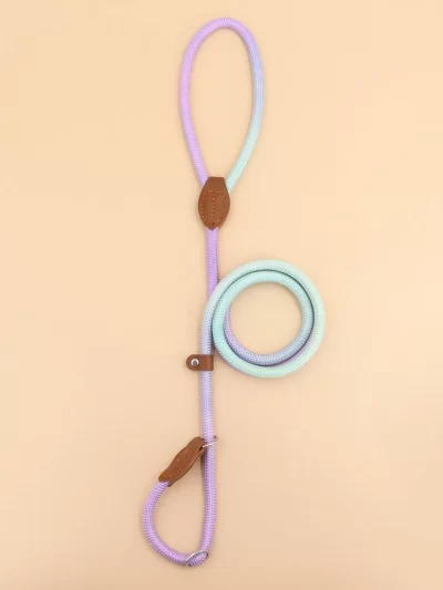 A colorful pet dog leash for indoor and outdoor use