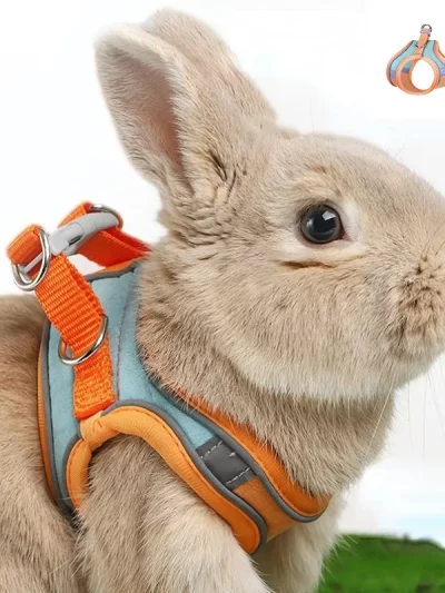 Adjustable Bunny Harness and Leash Set Double Buckle with Reflective Strips Rabbit Vest Pets Stuff Suitable for Rabbit Walks