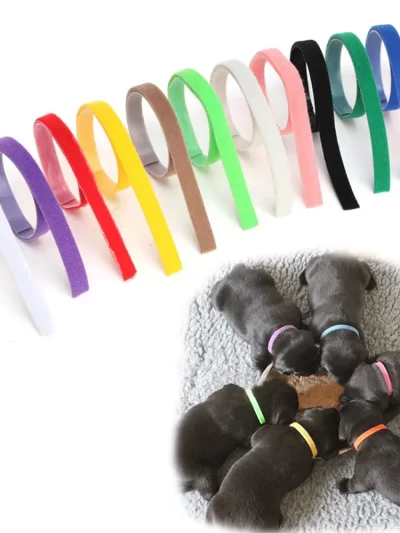 12Pcs/lot Dog's Collars Puppy Kitten Identification Collar Kitten Whelping ID Collar Bands for Small Dogs Cats Pet Supplies